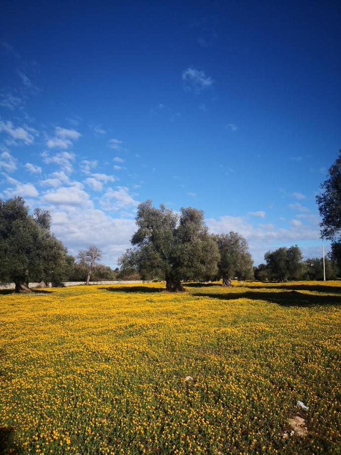 Le Dimore Di Mama Ceglie Messapica Bagian luar foto
