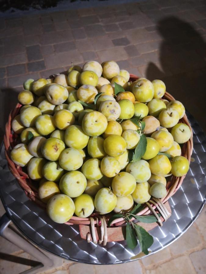 Le Dimore Di Mama Ceglie Messapica Bagian luar foto