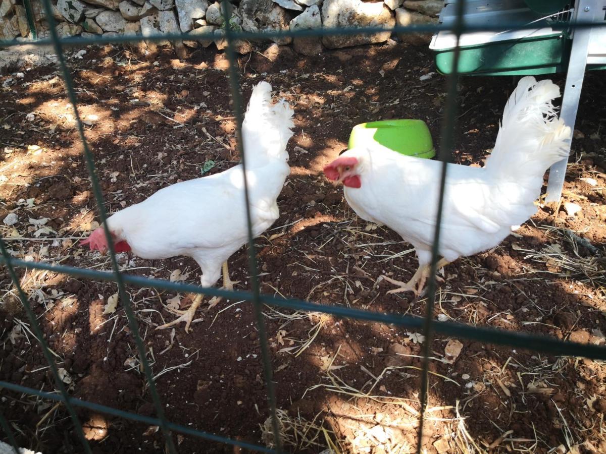 Le Dimore Di Mama Ceglie Messapica Bagian luar foto